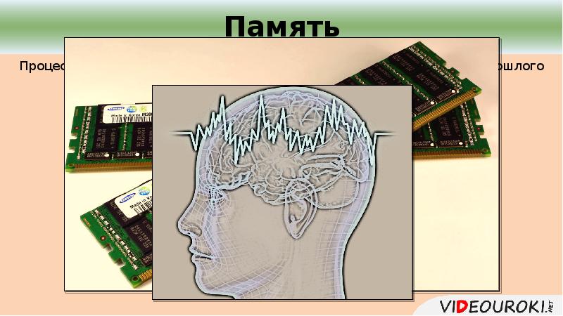 Процесс 21. Из личного опыта память.