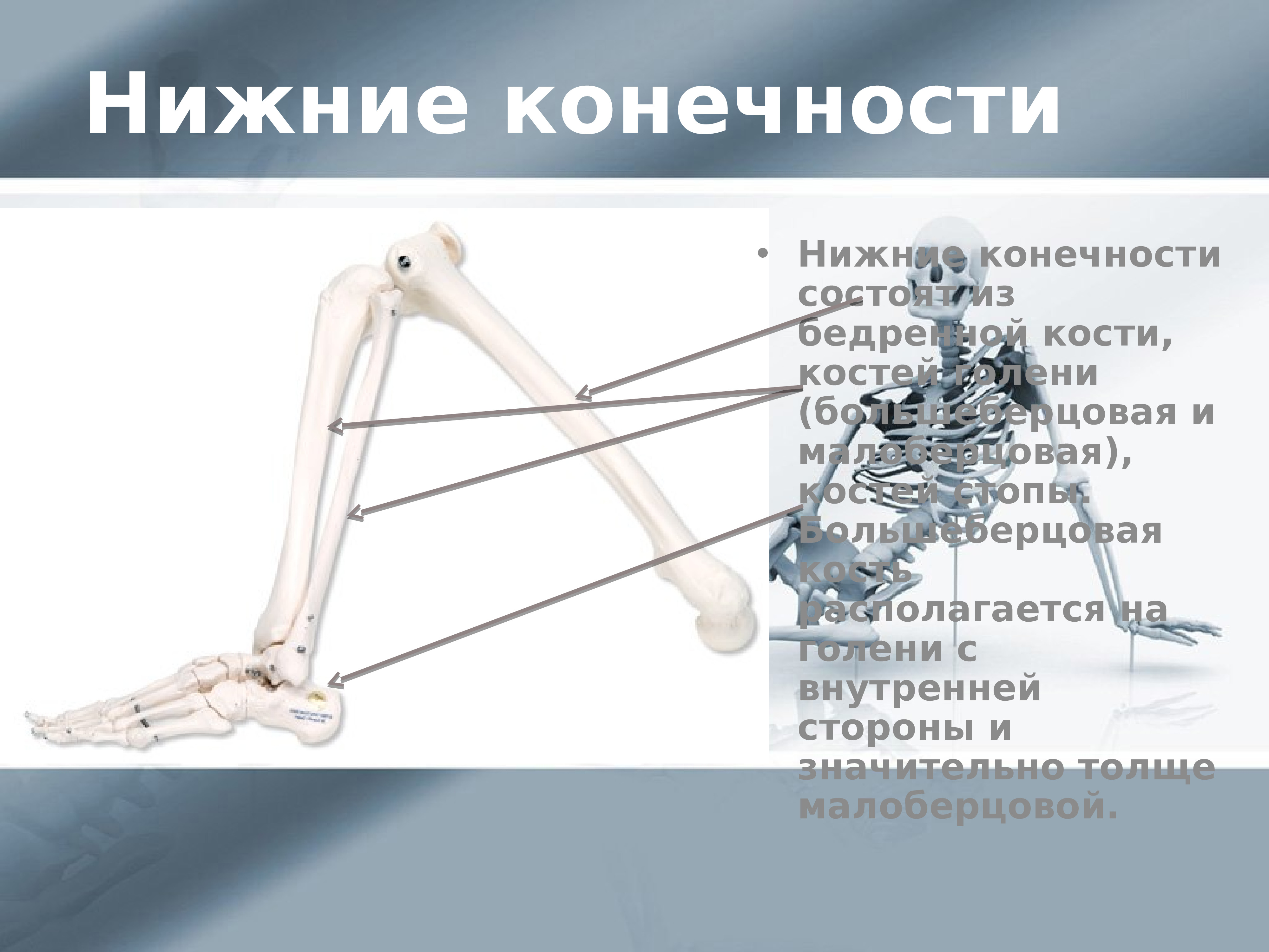 Скелет презентации проекта