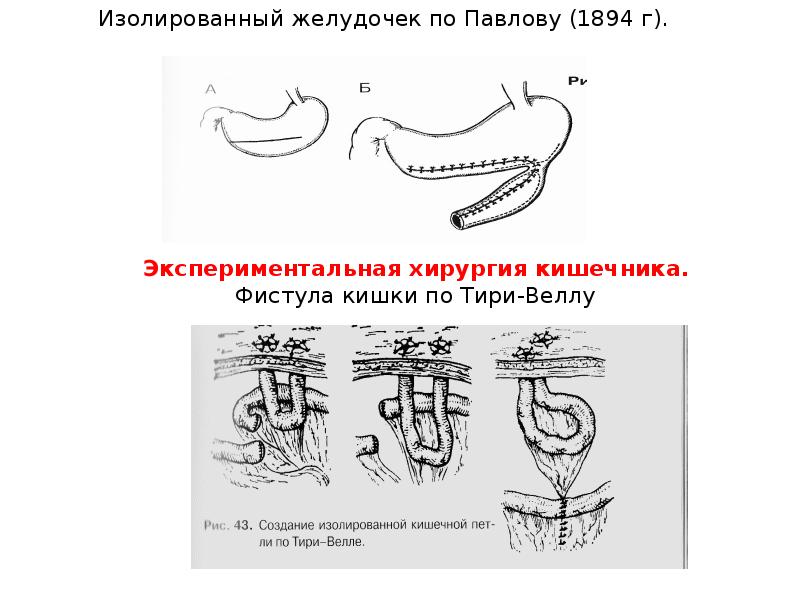 Презентация на тему рак желудка хирургия