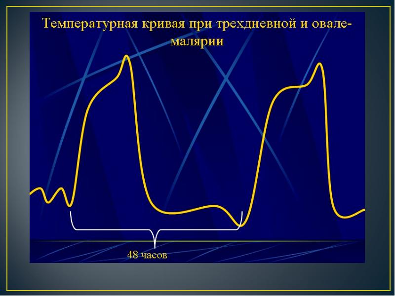 Презентация на тему лихорадка