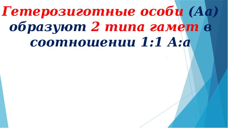 Презентация цитологические основы наследования признаков