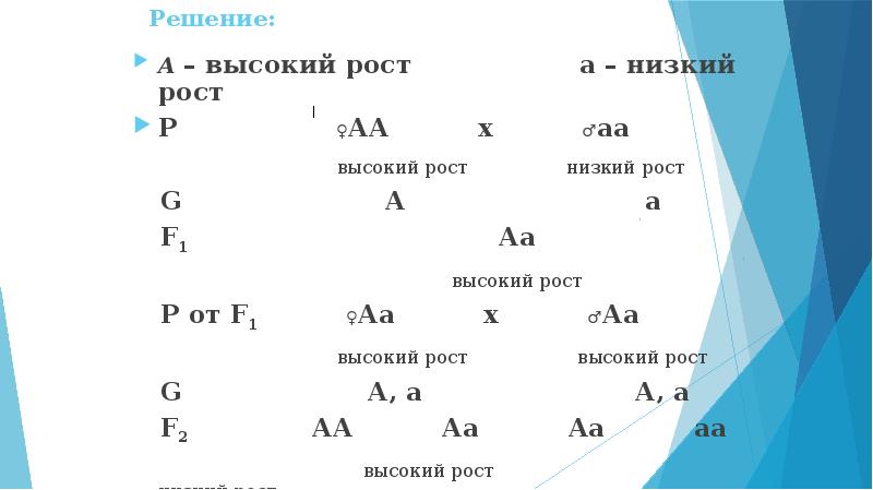 Рост решение