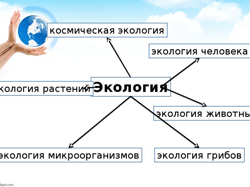 Какая среда окружает человека