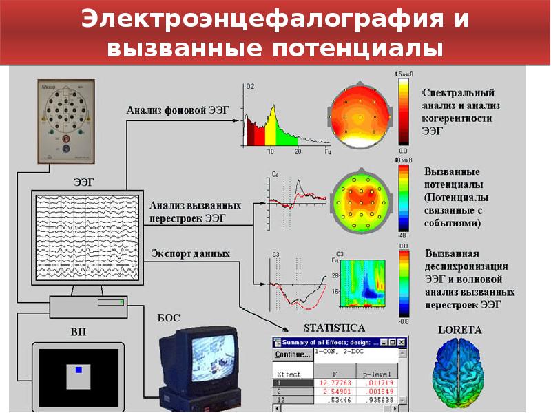 Основные виды биоэлектрической активности мозга. Приборы для измерения биоэлектрических потенциалов. Прибор для регистрации биоэлектрических потенциалов у растений. Биоэлектрических сигналов растений. Преобразователь измерительный биоэлектрических человека.