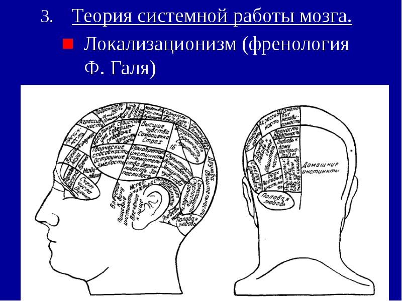Теория системной работы мозга.
Теория системной работы мозга.
Теория системной работы мозга.
Теория системной работы мозга.