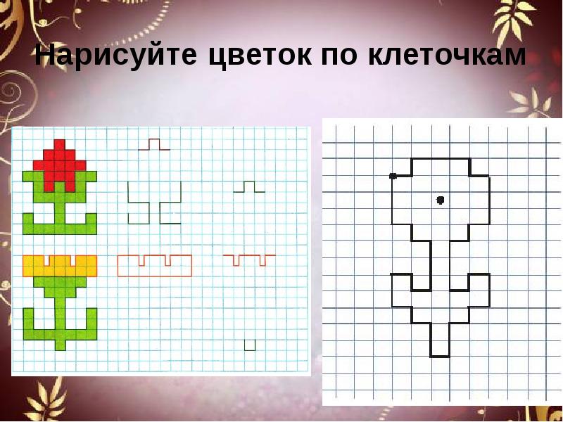 Развитие речи презентация цветы