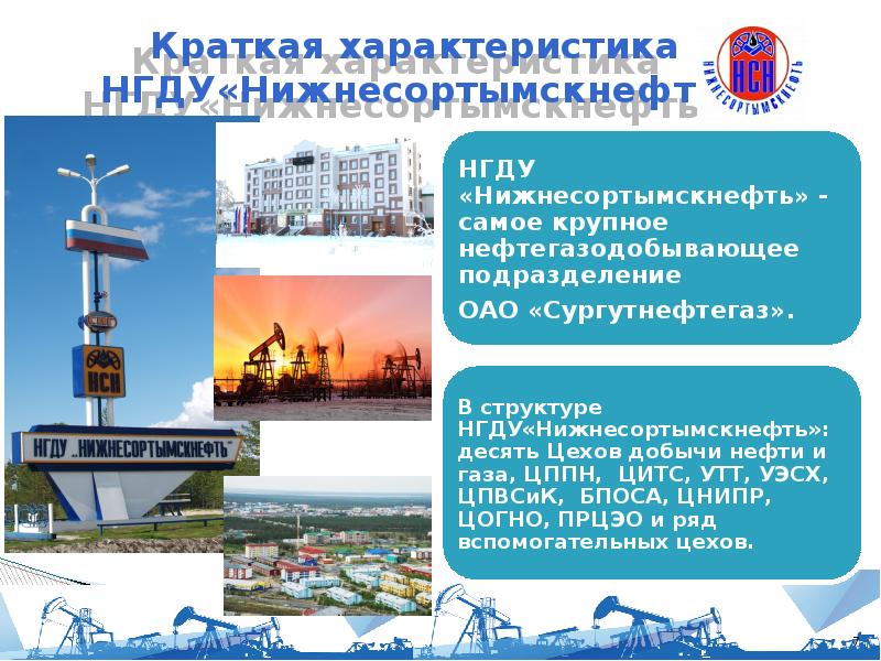 Социальные проекты сургутнефтегаз