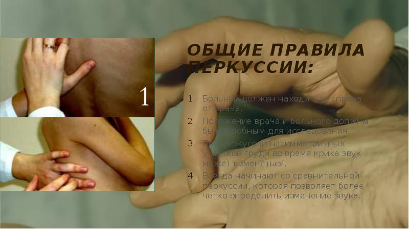 Общие правила перкуссии:
Больной должен находиться справа от врача.
Положение врача Общие правила перкуссии:
Больной должен находиться справа от врача.
Положение врача