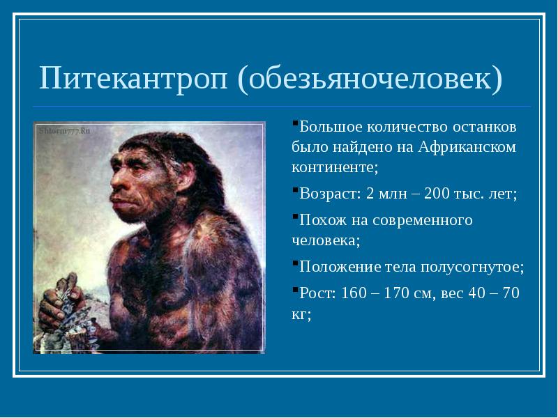 Питекантроп. Антропогенез питекантроп. Питекантроп хронологический Возраст. Краткая характеристика питекантроп и синантроп. Питекантроп исторический Возраст.