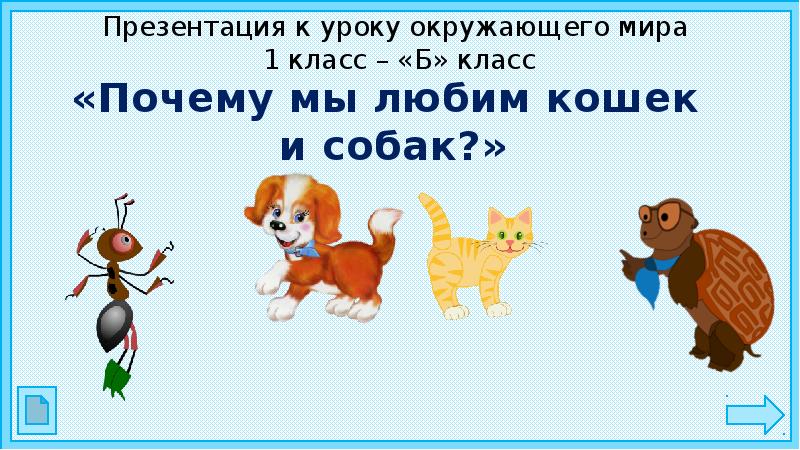 Презентация кошки и собаки. Почему мы любим кошек и собак 1 класс. Презентация к уроку окружающего мира 1 класс. Окружающий мир почему мы любим кошек и собак. Почему мы любим кошек и собак 1 класс окружающий мир.