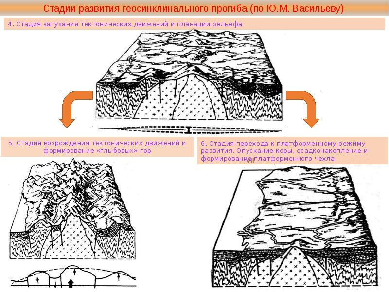 Геосинклиналь. Стадии развития геосинклиналей. Этапы формирования геосинклинали. Схема геосинклинали. Схема развития геосинклинали.