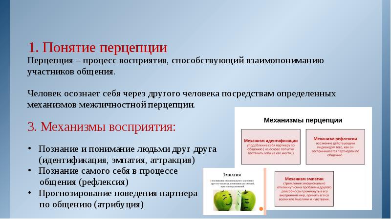 Продукты процесса восприятия