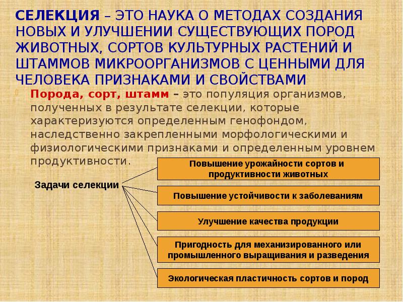 Селекция это. Создание новых сортов и пород является результатом действия. Чем определяется ценность породы сорта штамма.