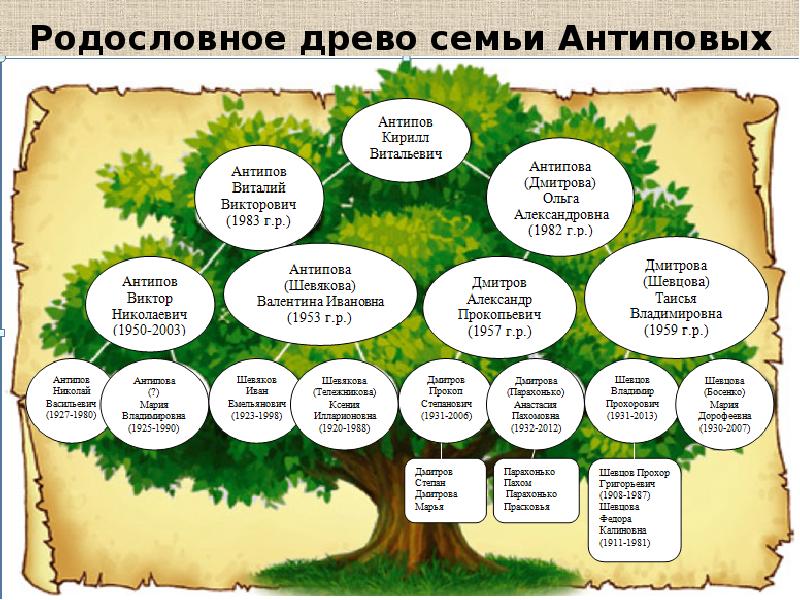 Презентация моя родословная 5 класс