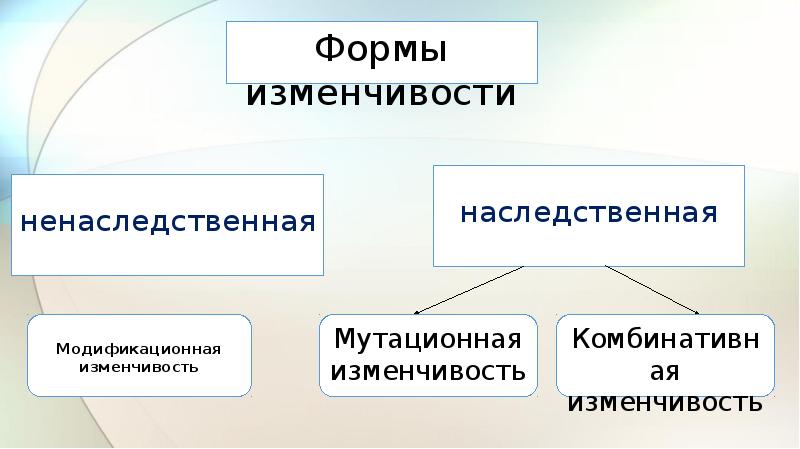 Закономерности изменчивости наследственная и ненаследственная. Наследственная изменчивость комбинативная и мутационная. Закономерности наследственной изменчивости. Формы ненаследственной изменчивости.