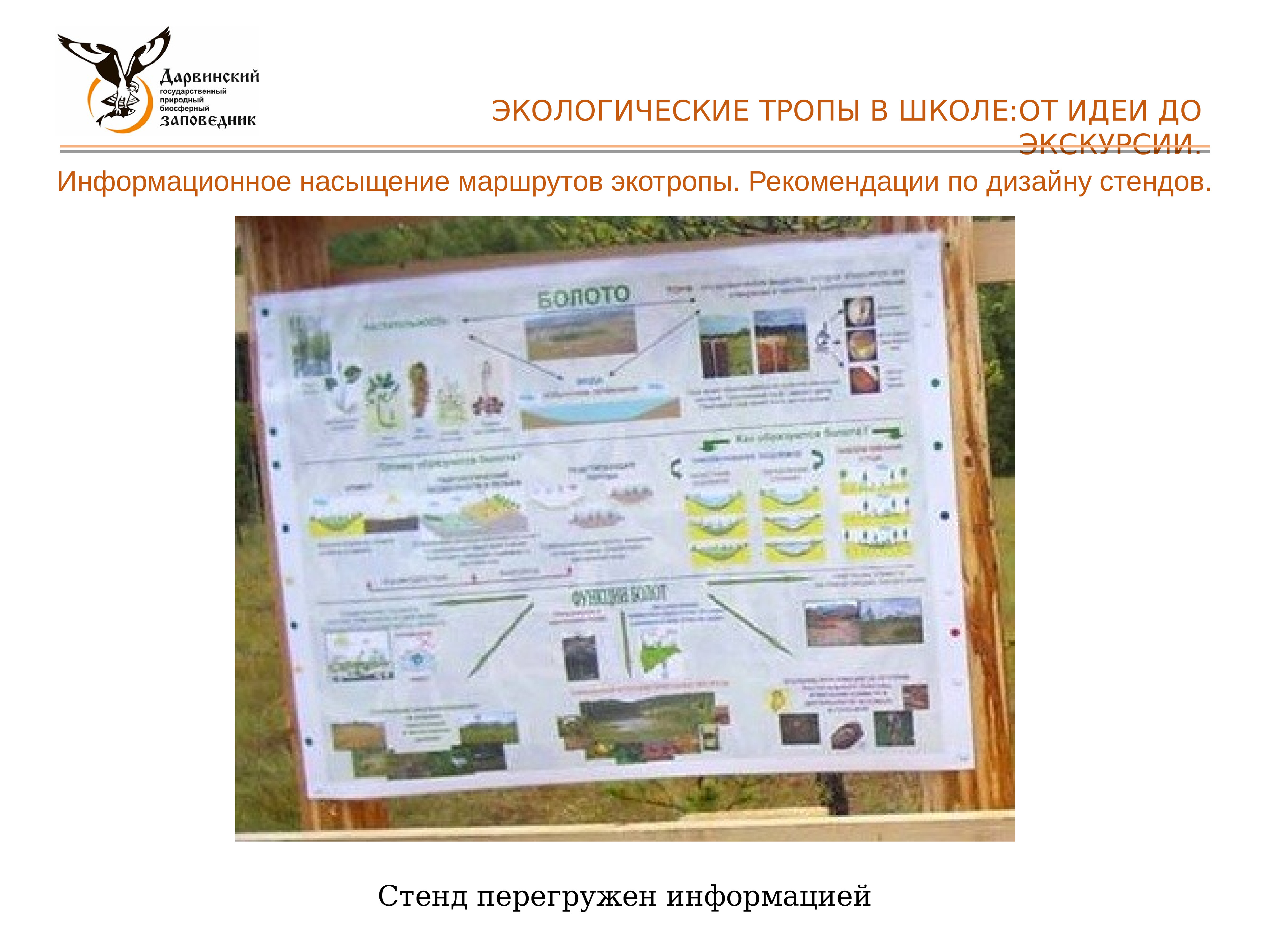 Проект экотропа в школе