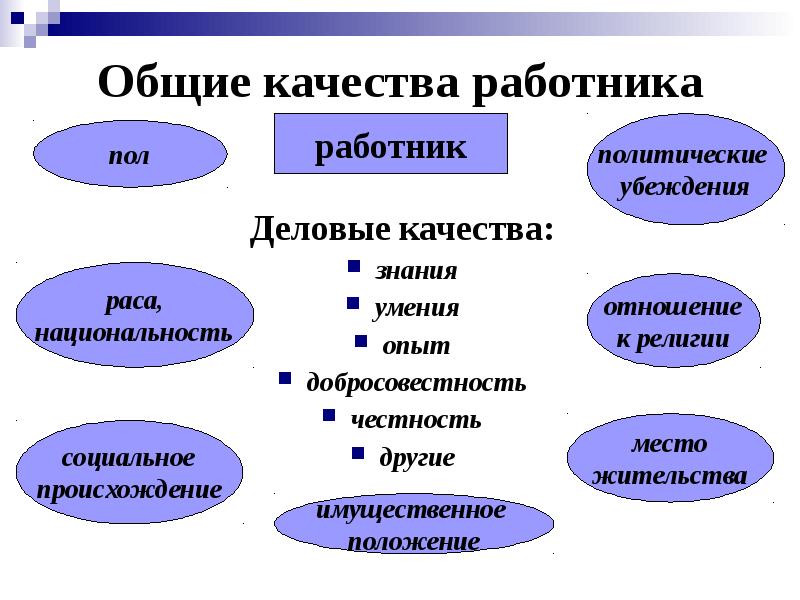 Общие качества работника
Деловые качества:
знания
умения
опыт
добросовестность
честность
другие Общие качества работника
Деловые качества:
знания
умения
опыт
добросовестность
честность
другие