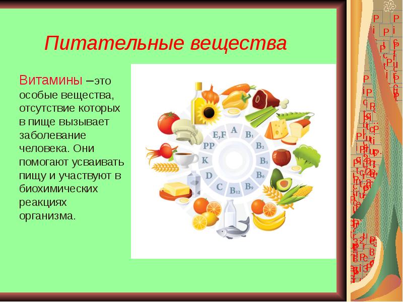 Белки жиры углеводы химия 9 класс презентация