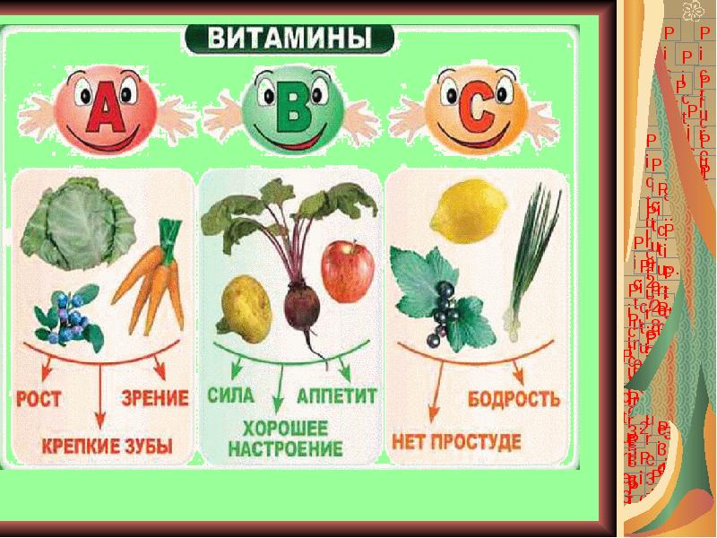 Презентация на тему жиры углеводы белки жиры