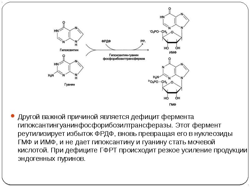 Гипоксантин формула. Фермент гипоксантин гуанин фосфорибозилтрансферазы. Реакции реутилизации гуанина. Реутилизация пуринов. Реакции реутилизации гуанина и гипоксантина.