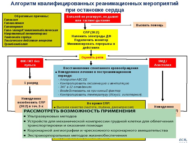 Патогенез гипотермии презентация