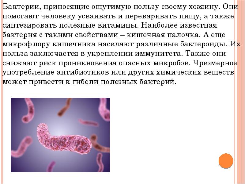 Проект бактерии вред или польза