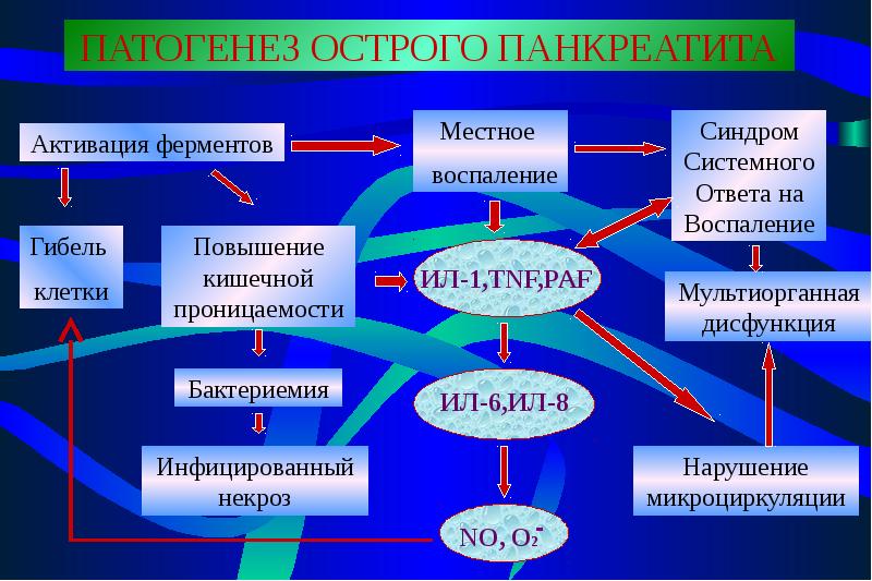 Схема патогенеза рахита