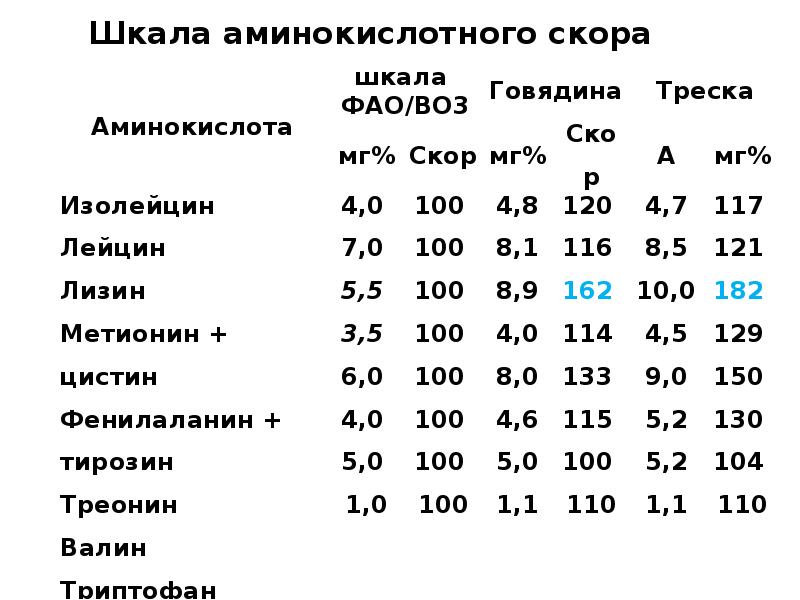 Тест белки жиры углеводы 10 класс биология. Тест 1 химический состав клетки. Тест нуклеиновые кислоты. Задания по биологии по теме углеводы 10 класс. Тест на тему углеводы.