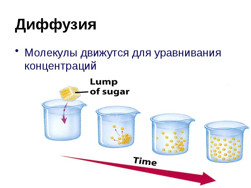 Молекулы диффузия