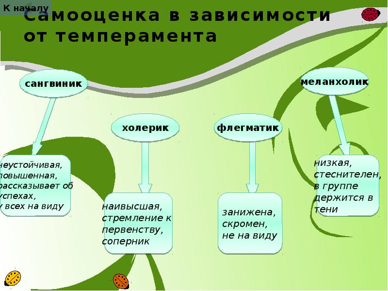 Человек как объект технологии 5 класс технология презентация