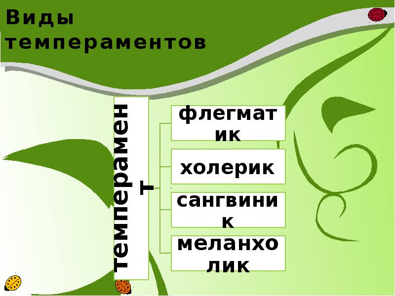 Человек как объект технологии 5 класс презентация