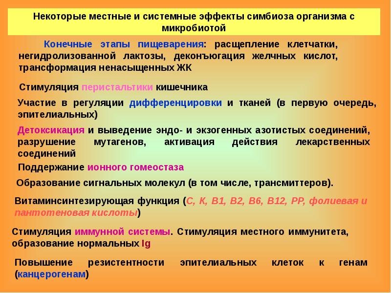 Нормальное образование. Диффузия в пищеварении доклад. Роль абсорбции в жизнедеятельности организма..