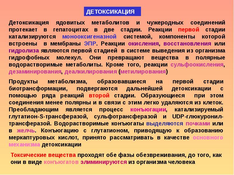 Прими соединение. Типы реакций детоксикации в печени:. Реакции фазы детоксикации. Механизмы естественной детоксикации. Первая фаза детоксикации.