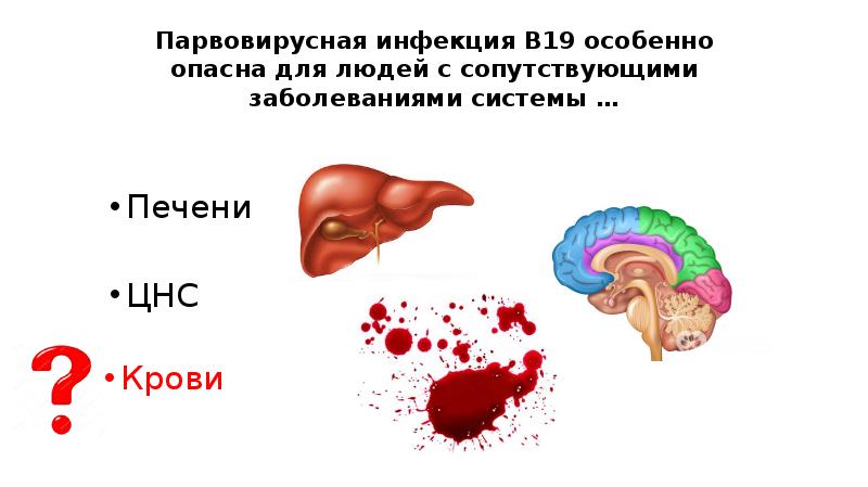 Парвовирусная инфекция