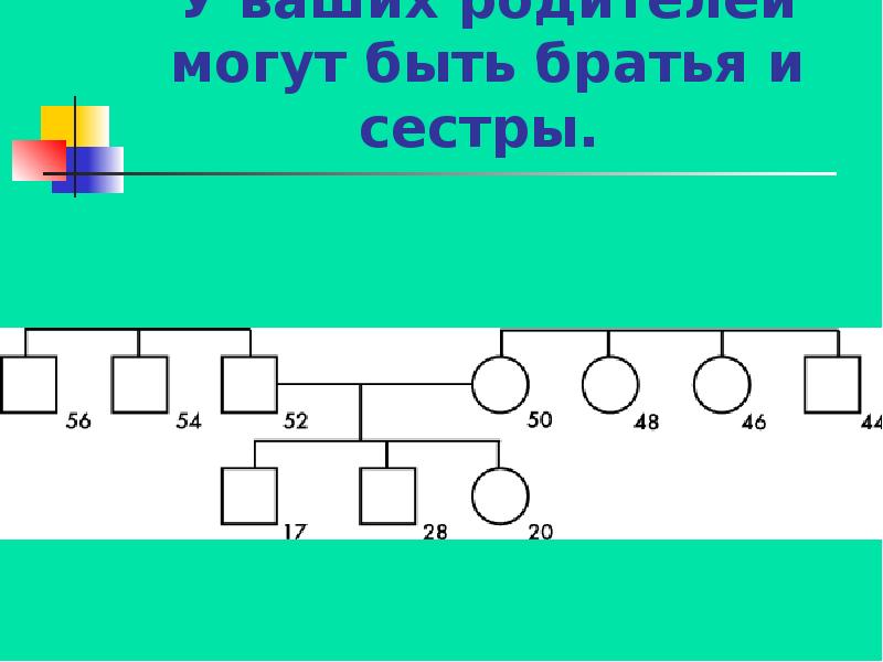 Построить родословное дерево потомков владимира мономаха информатика word