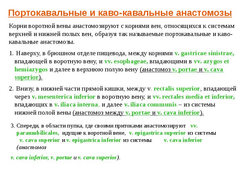 Портокавальные анастомозы презентация