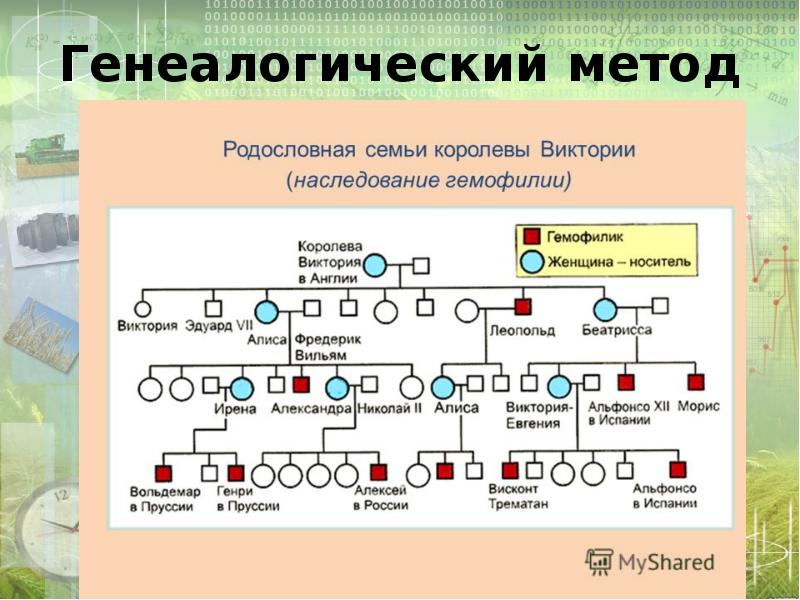 Проект генеалогический метод исследования