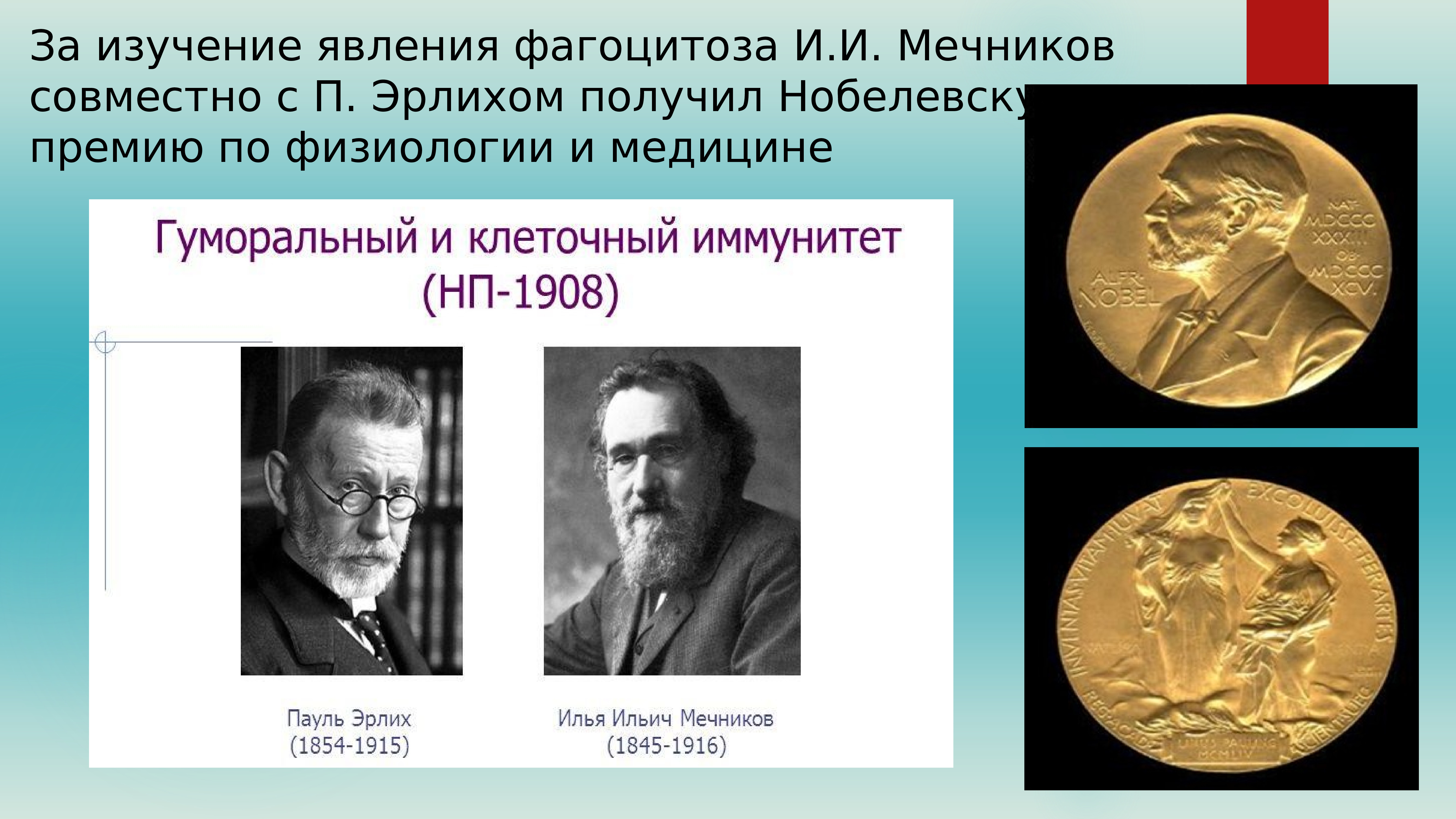 Мечников Нобелевская премия 1908