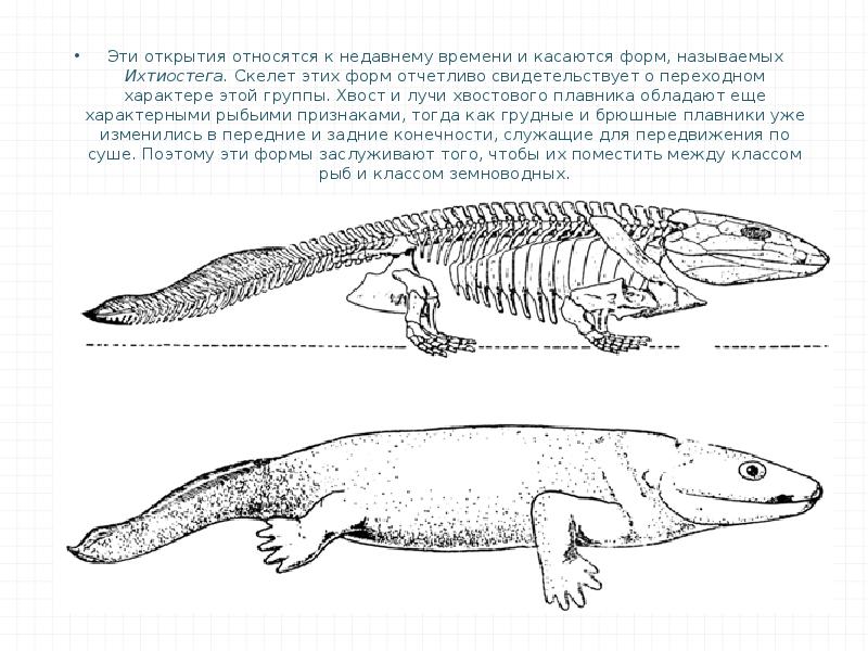 Животное изображенное на рисунке является вымершей переходной формой между пресмыкающимися и