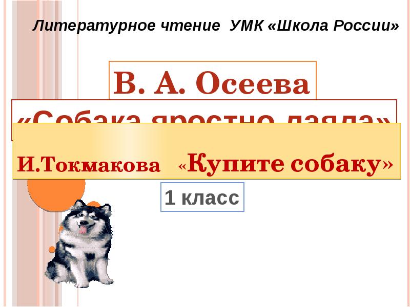 Купите собаку токмакова. Купите собаку Токмакова читать. Токмакова купите собаку картинка.