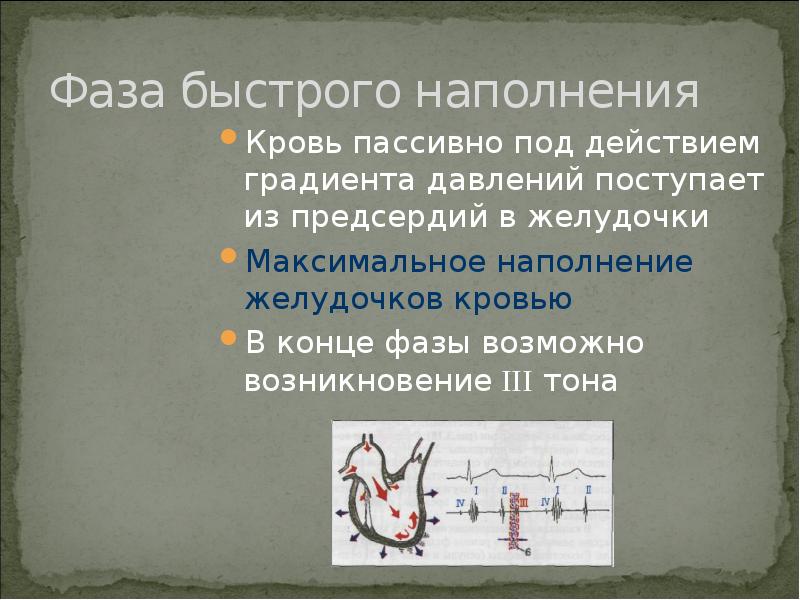 Фаза быстрого наполнения желудочков. Фаза наполнения предсердий. Фаза быстрого и медленного наполнения желудочков. Давление наполнения желудочков.