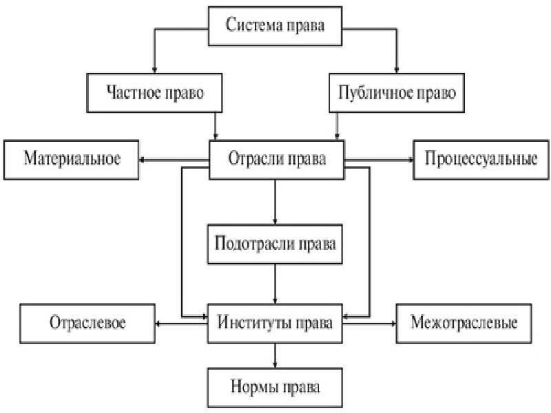 Презентация на тему система права и система законодательства