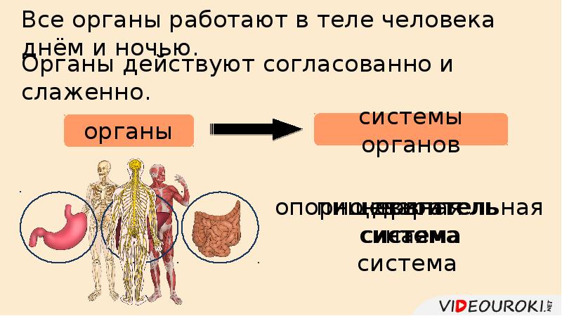 Здоровья во все органы картинки