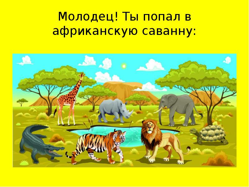 Животные саванны презентация