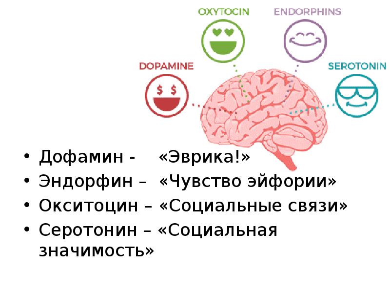 Проект про гормоны