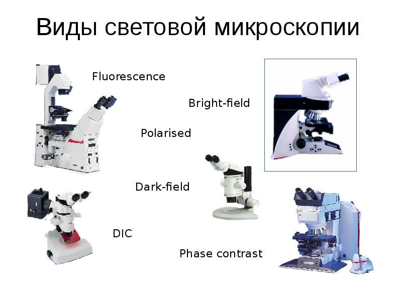 Виды микроскопов с картинками