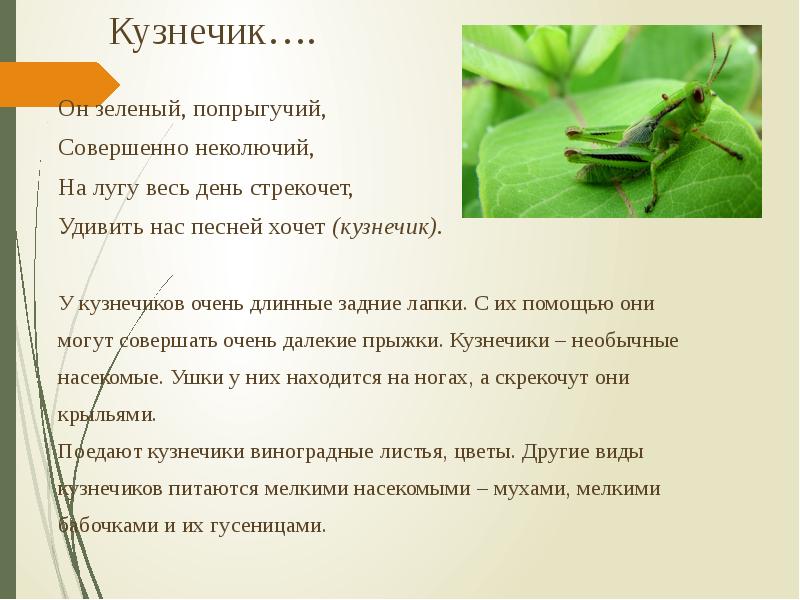 Упражнение кузнечик