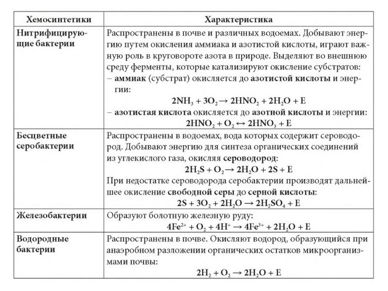 Совокупность реакций синтеза органических. Бактерии хемосинтетики ЕГЭ. Фотосинтез и хемосинтез ЕГЭ. Виды хемосинтетиков. Хемосинтетики ЕГЭ.