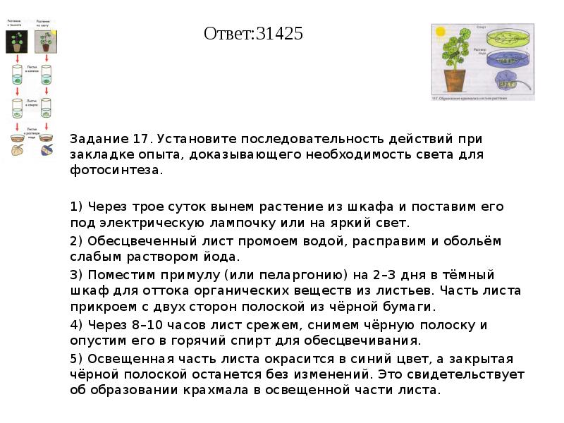 Верную последовательность действий при закладке опыта