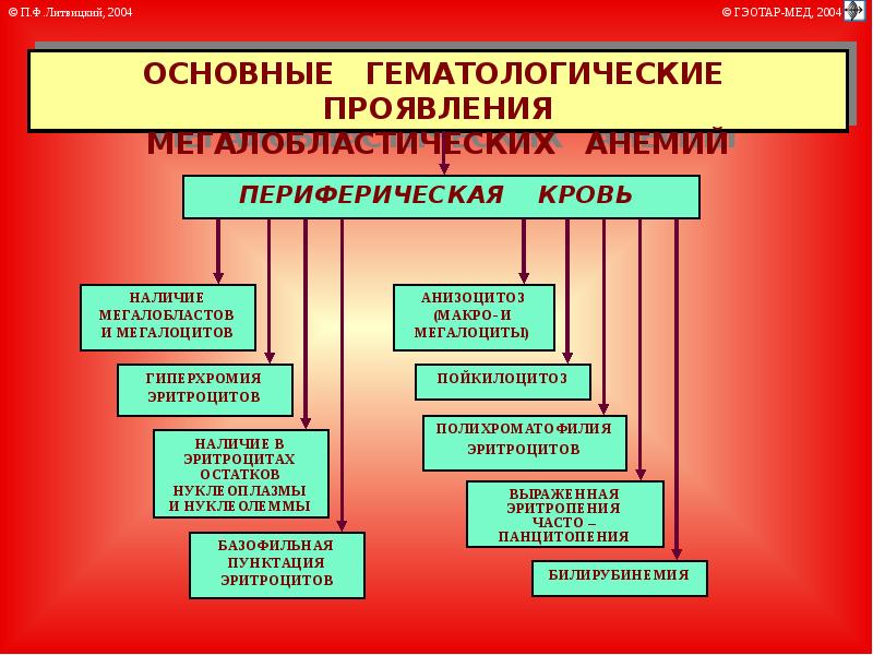 Мегалобластная анемия презентация